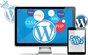 programador wordpress madrid